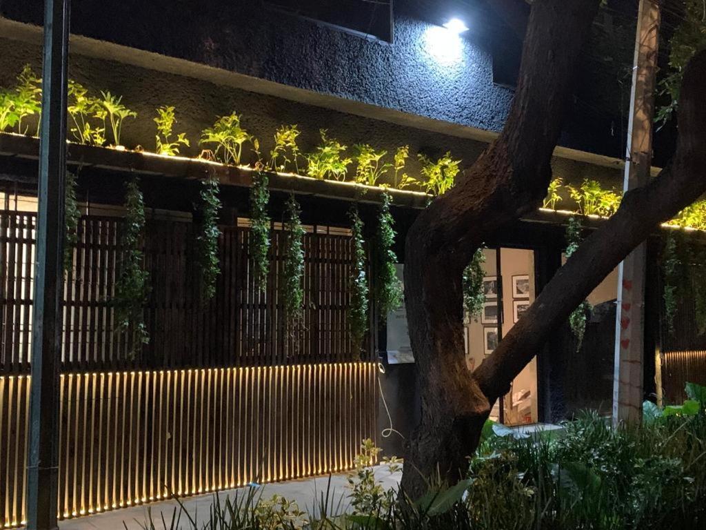 Frontera 49 Roma Norte Hostal Mexico City Exterior photo