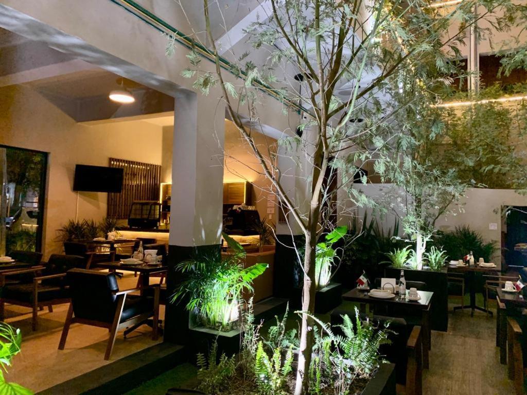 Frontera 49 Roma Norte Hostal Mexico City Exterior photo