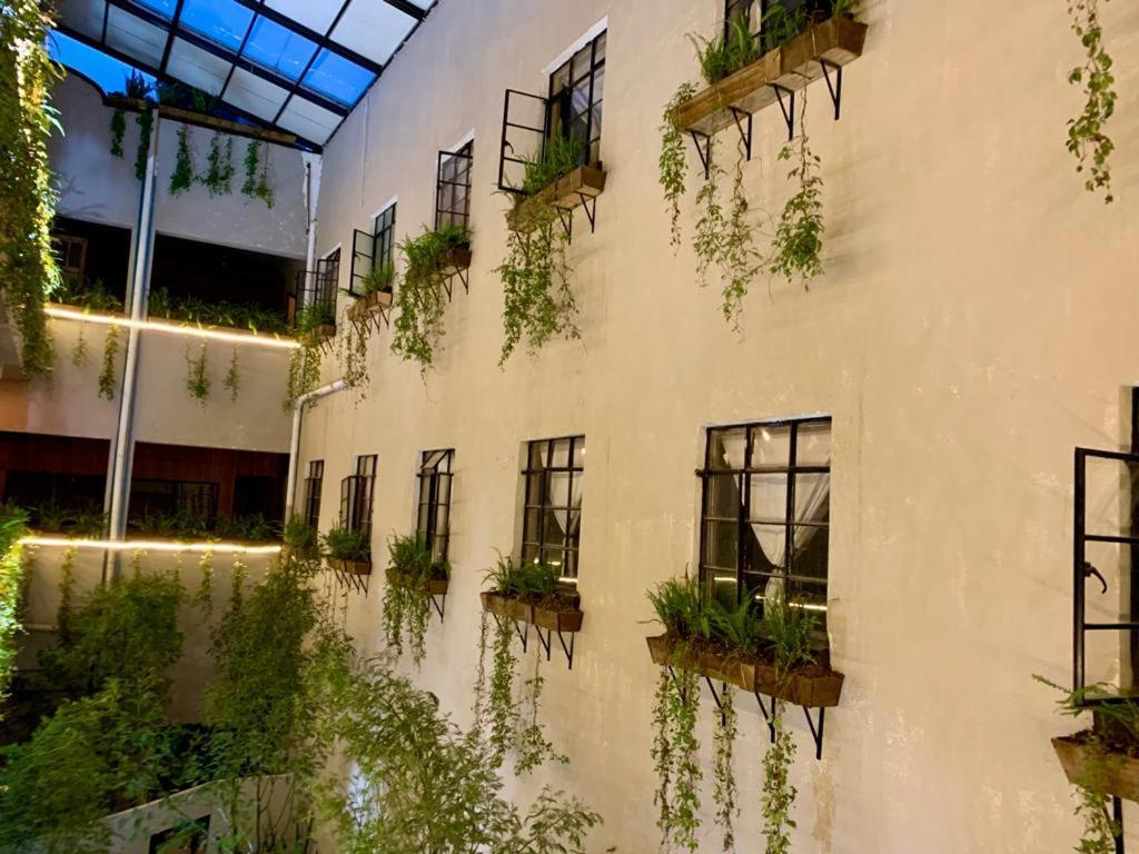 Frontera 49 Roma Norte Hostal Mexico City Exterior photo