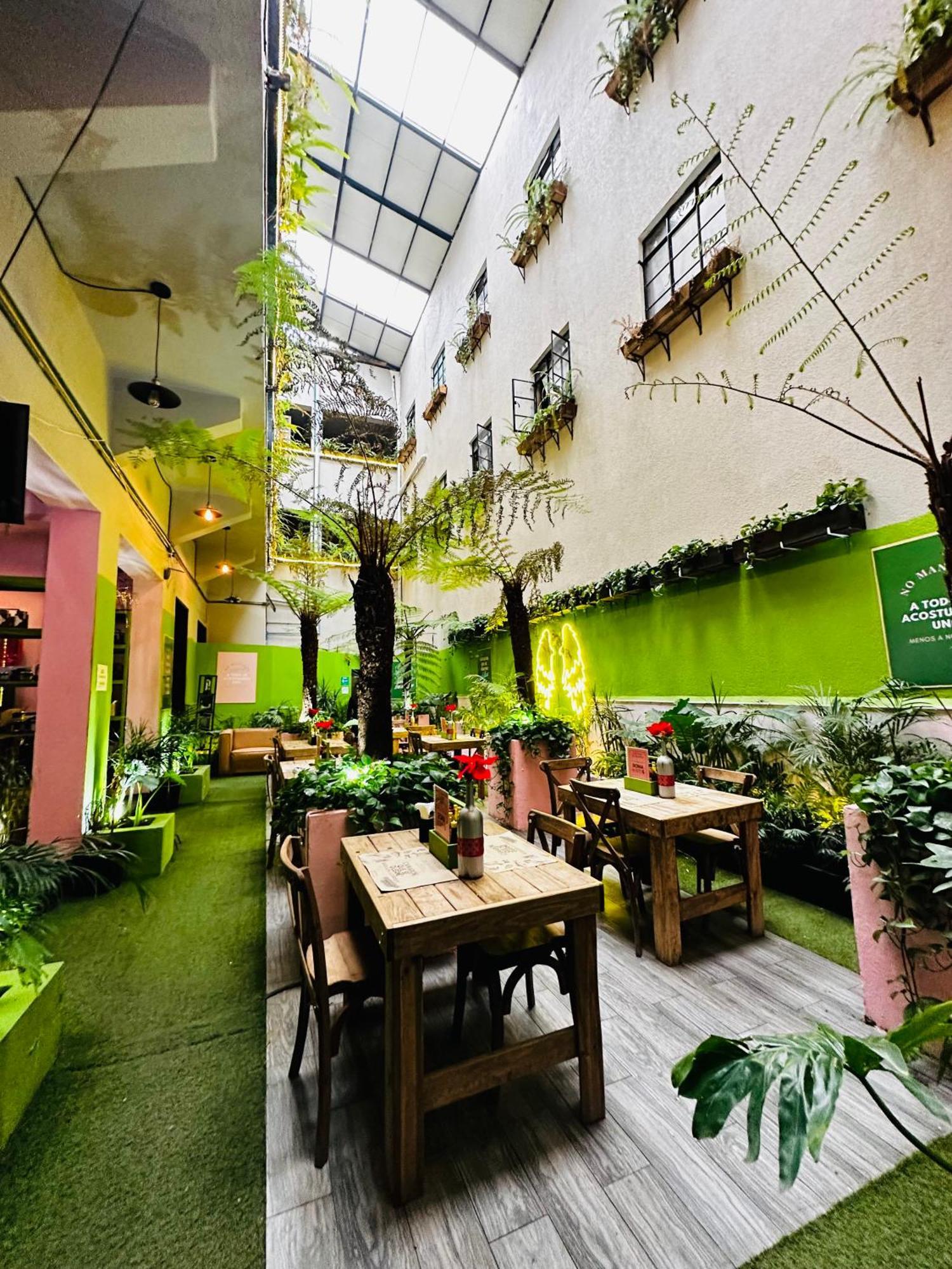 Frontera 49 Roma Norte Hostal Mexico City Exterior photo
